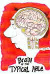 brain.jpg